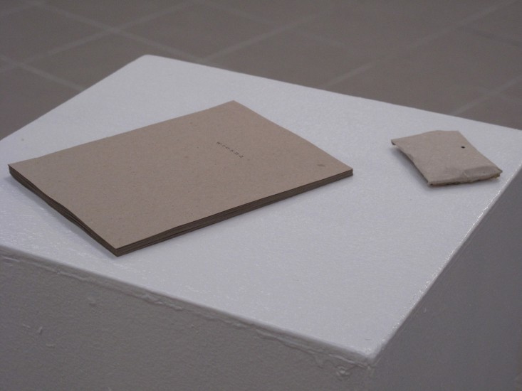 The book and the sound postcard in the gallery